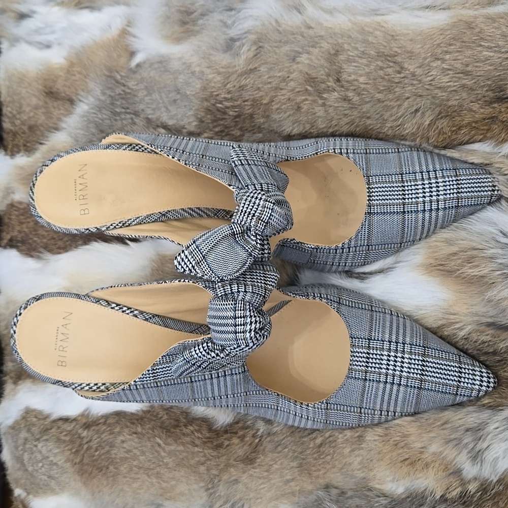 Alexandre birman shoes